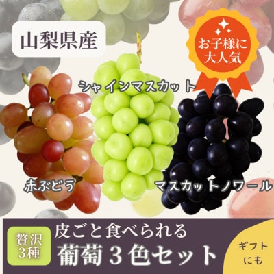 山梨県まきおか産　皮ごと食べられる葡萄3色セット