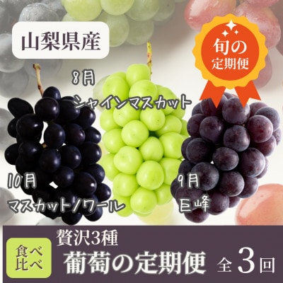 【発送月固定定期便】【8月・9月・10月発送】山梨県まきおか産　葡萄の定期便全3回