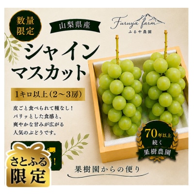 【さとふる限定】【数量限定2026発送】ふるや農園厳選シャインマスカット1kg以上(2～3房入り)