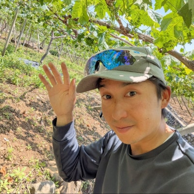 【2027年8月下旬以降発送 先行受付】山梨県産 シャインマスカット2kg(2～4房程度)