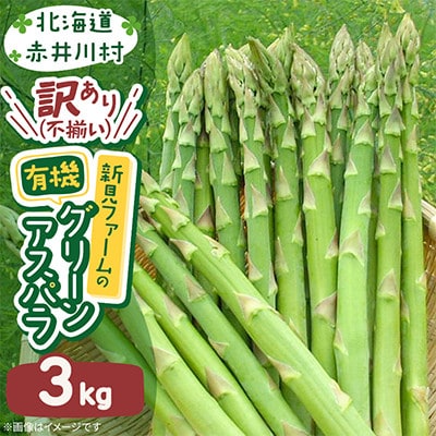 2027年先行予約 訳あり【不揃い・グリーン】新見ファームの有機アスパラ 3kg