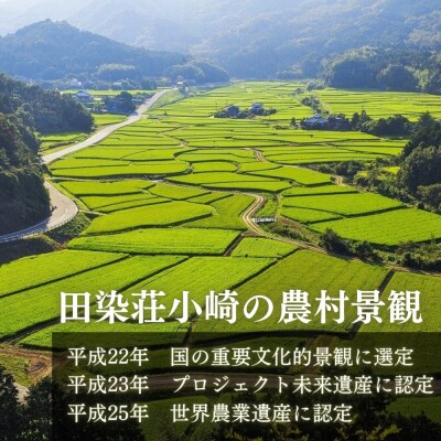 荘園米 15kg 米 お米 精米 ひのひかり ヒノヒカリ