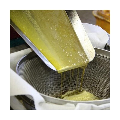 菜の花油(138g×6本)