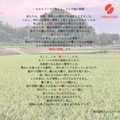 宗像産 夢つくし 10kg(5kg×2)【ちかえフーズ】_HA1808