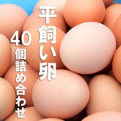 【ふるさと納税】平飼い卵詰め合わせ!40個セット