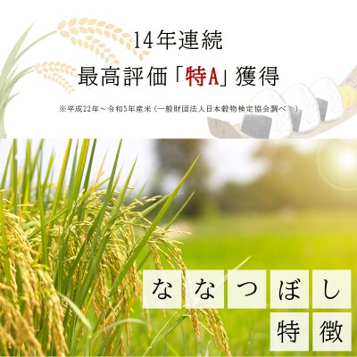 令和7年産 ファーム坂口の特別栽培米 ななつぼし玄米 15kg