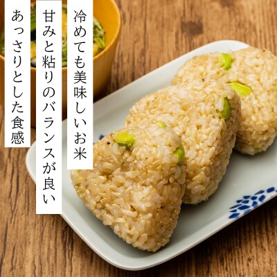 令和7年産 ファーム坂口の特別栽培米 ななつぼし玄米 15kg