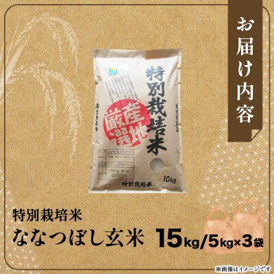 令和7年産 ファーム坂口の特別栽培米 ななつぼし玄米 15kg