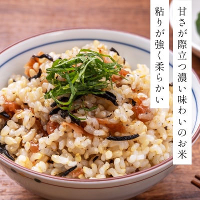 令和7年産 ファーム坂口の特別栽培米 ゆめぴりか玄米 15kg