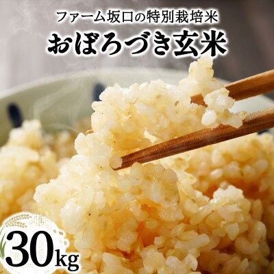 令和7年産!ファーム坂口の特別栽培米 おぼろづき玄米30kg