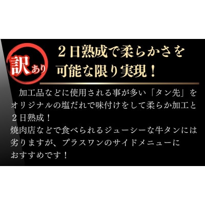 【訳あり】牛タン 先スライス 1kg(約500g×2パック)7～8人前