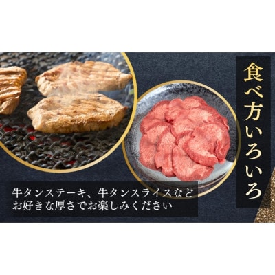 【厚切りOK】 牛タン タン元ブロック 二日熟成 塩味 500g(3～4人前)