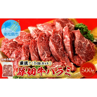 厳選 牛ハラミ 厚切り 500g