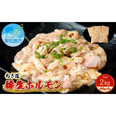 国産 豚 生ホルモン ねぎ塩味 2kg(400g×5パック)