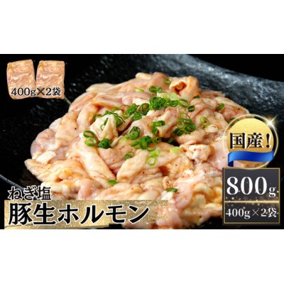 国産 豚 生ホルモン ねぎ塩味 800g(400g×2パック)