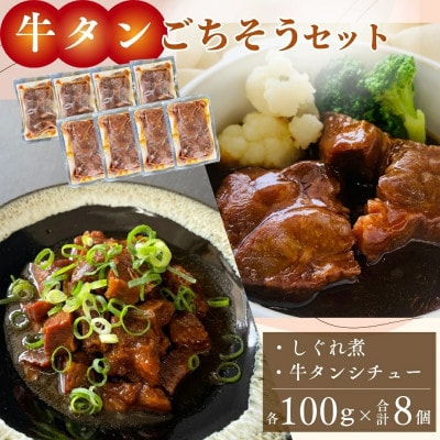 牛タンしぐれ煮・牛タンシチュー 100g×各4個 合計8個