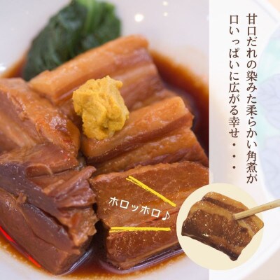 豚角煮5袋セット (170g×5袋)