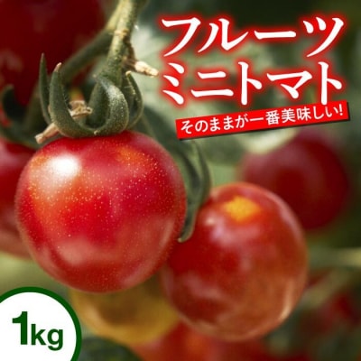 四万十川源流域で育まれた 絶品 フルーツミニトマト 1kg まちだ農園