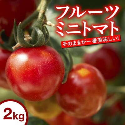 四万十川源流域で育まれた 絶品 フルーツミニトマト 2kg まちだ農園