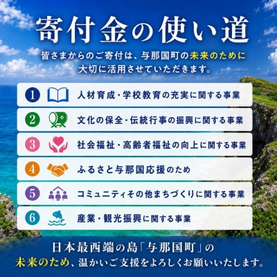 【返礼品なし】沖縄県与那国町 日本最西端の地 与那国島の未来の為の応援寄付20,000円