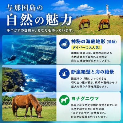 【返礼品なし】沖縄県与那国町 日本最西端の地 与那国島の未来の為の応援寄付30,000円