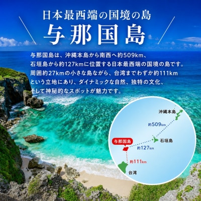 【返礼品なし】沖縄県与那国町 日本最西端の地 与那国島の未来の為の応援寄付100,000円
