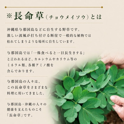 【崎元酒造所】長命酢 720ml×1本(与那国島産黒糖入り)