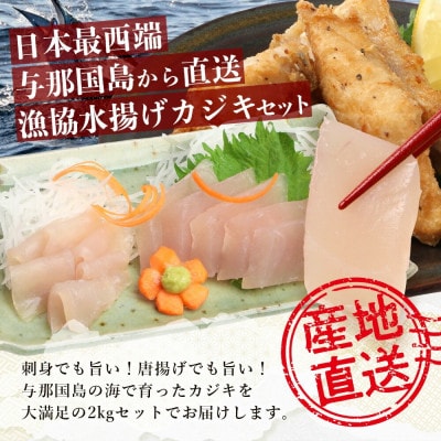 【与那国町漁協直送】カジキの刺身&骨付き肉セット 計2kg