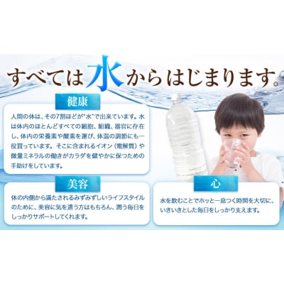 熊本イオン純天然水 ラベルレス 2L×20本 《8月中旬-9月中旬頃出荷》