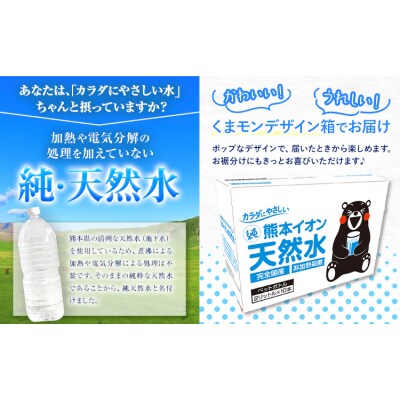 熊本イオン純天然水 ラベルレス 2L×20本 《8月中旬-9月中旬頃出荷》