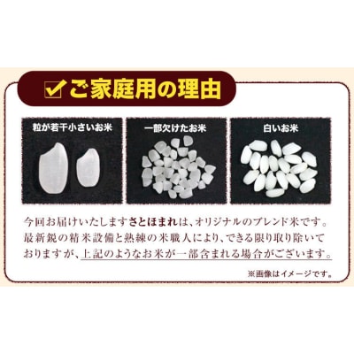 熊本県産 さとほまれ 無洗米 ご家庭用 20kg 《7-14日以内に出荷予定(土日祝除く)》