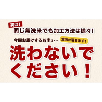 熊本県産 さとほまれ 無洗米 ご家庭用 20kg 《7-14日以内に出荷予定(土日祝除く)》