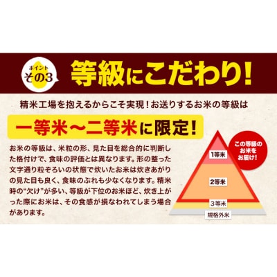 令和7年産 無洗米 ひのひかり 10kg 《7-14日以内に出荷予定(土日祝除く)》 