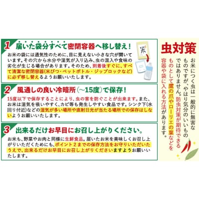令和7年産 無洗米 ひのひかり 10kg 《7-14日以内に出荷予定(土日祝除く)》 