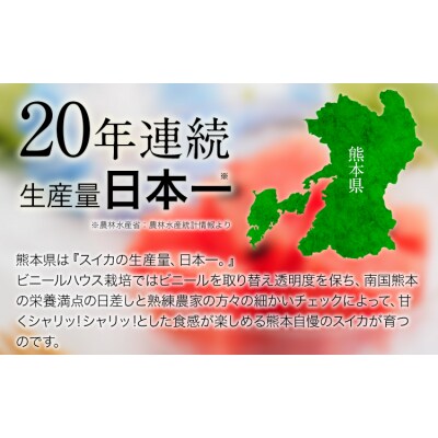 【先行予約】『きよたファーム』のすいか 1玉約8～10kg《2026年5月下旬-6月下旬頃出荷》