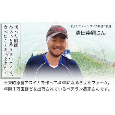 【先行予約】『きよたファーム』のすいか 1玉約8～10kg《2026年5月下旬-6月下旬頃出荷》
