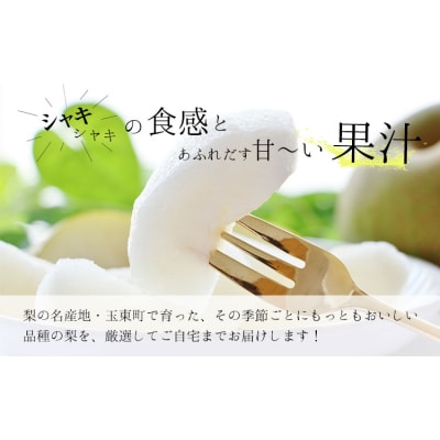 玉東梨 約5kg 6玉-18玉前後 《8月中旬-9月末頃出荷》【日付指定・品種指定不可】