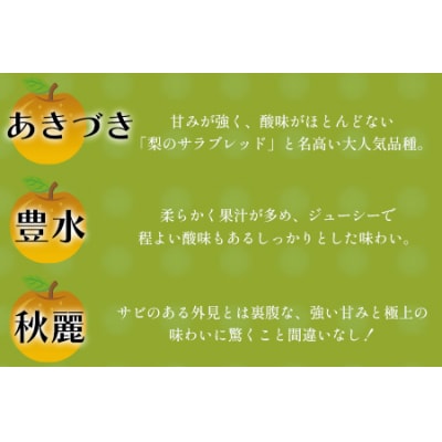 玉東梨 約5kg 6玉-18玉前後 《8月中旬-9月末頃出荷》【日付指定・品種指定不可】