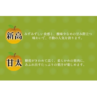 玉東梨 約5kg 6玉-18玉前後 《8月中旬-9月末頃出荷》【日付指定・品種指定不可】