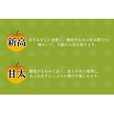 玉東梨 約5kg 6玉-18玉前後 《8月中旬-10月上旬頃出荷》【日付指定・品種指定不可】