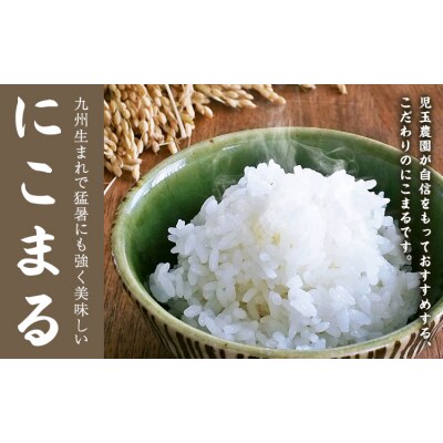 【令和8年産】先行予約 『児玉農園』にこまる 5kg 《10月下旬-11月中旬頃出荷》 お米
