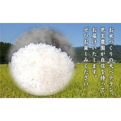 【令和8年産】先行予約 『児玉農園』にこまる 5kg 《10月下旬-11月中旬頃出荷》 お米