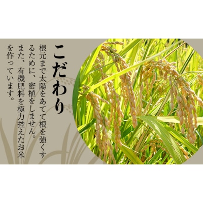 【令和8年産】先行予約 『児玉農園』くまさんの輝き 10kg 《10月下旬-11月中旬頃出荷》 お米
