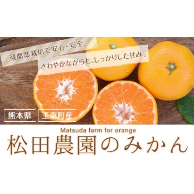 ＼先行予約スタート/松田農園 の みかん たっぷり 約5kg (S-2Lサイズ) 【日付指定不可】