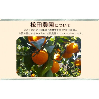 ＼先行予約スタート/松田農園 の みかん たっぷり 約5kg (S-2Lサイズ) 【日付指定不可】