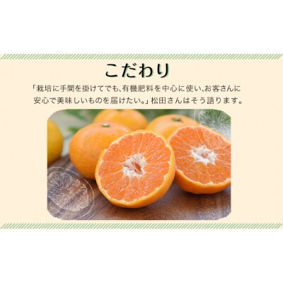 ＼先行予約スタート/ 松田農園 みかん たっぷり 訳あり 10kg ご家庭用 【日付指定不可】 