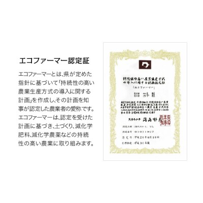 ＼先行予約スタート/ 松田農園 みかん たっぷり 訳あり 5kg ご家庭用 【日付指定不可】 