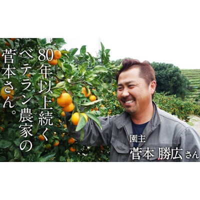 ＼先行予約スタート/ 菅本果実園 みかん 約5kg(S-Mサイズ) 《11月中旬-1月中旬頃出荷》