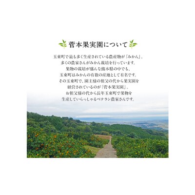 ＼先行予約スタート/ 菅本果実園 みかん 約5kg(S-Mサイズ) 《11月中旬-1月中旬頃出荷》