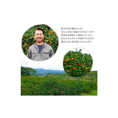 ＼先行予約スタート/ 菅本果実園 みかん 約5kg(S-Mサイズ) 《11月中旬-1月中旬頃出荷》